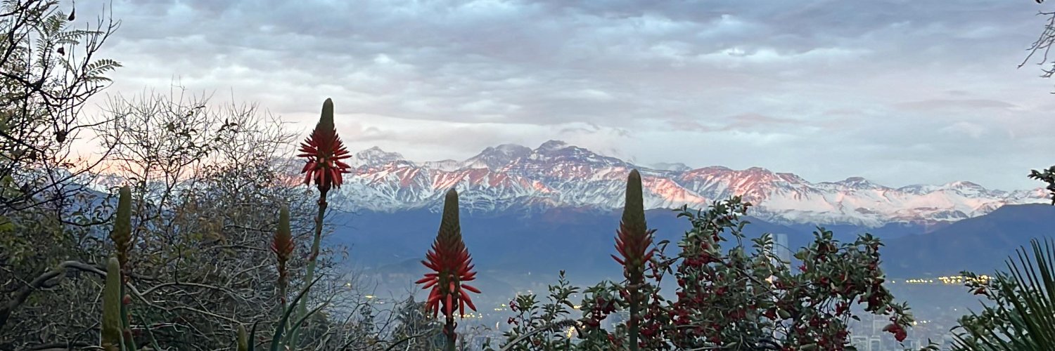 Gonzalo Winter 🇨🇱's banner