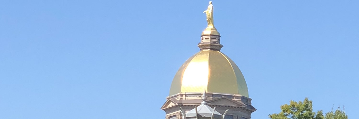 Matt David's banner