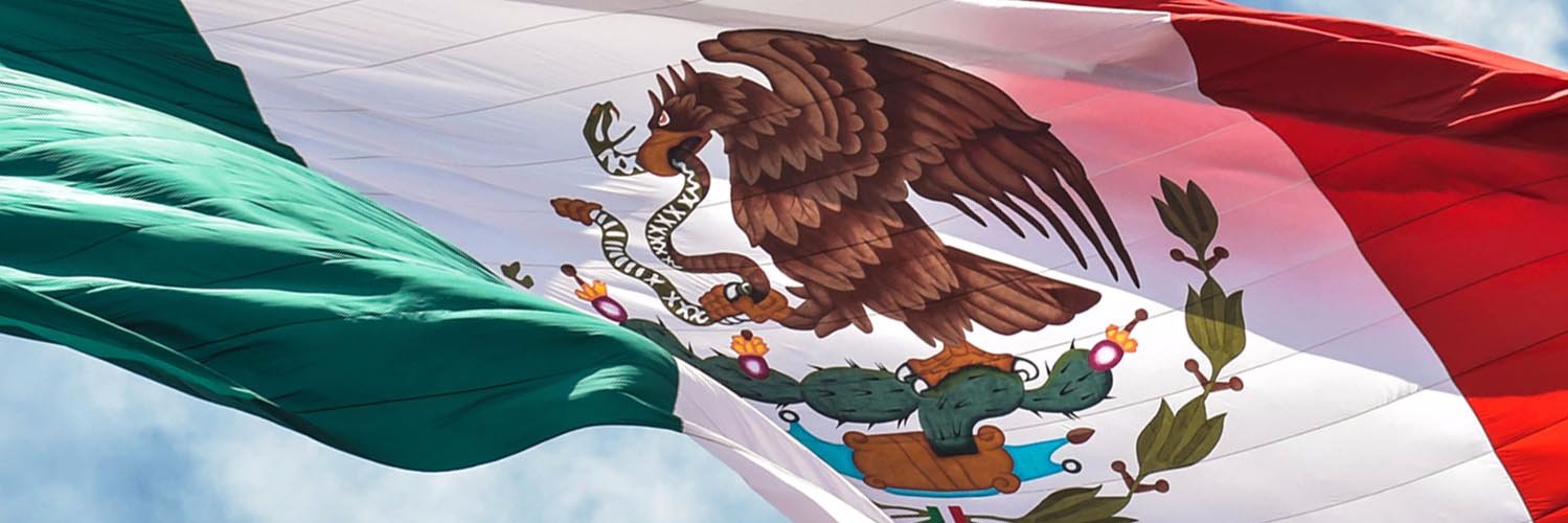 Miguel Ruiz Cabañas's banner