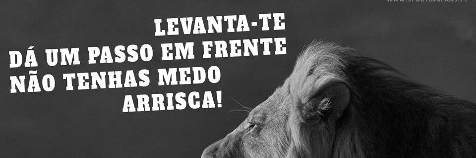 Mindo's banner