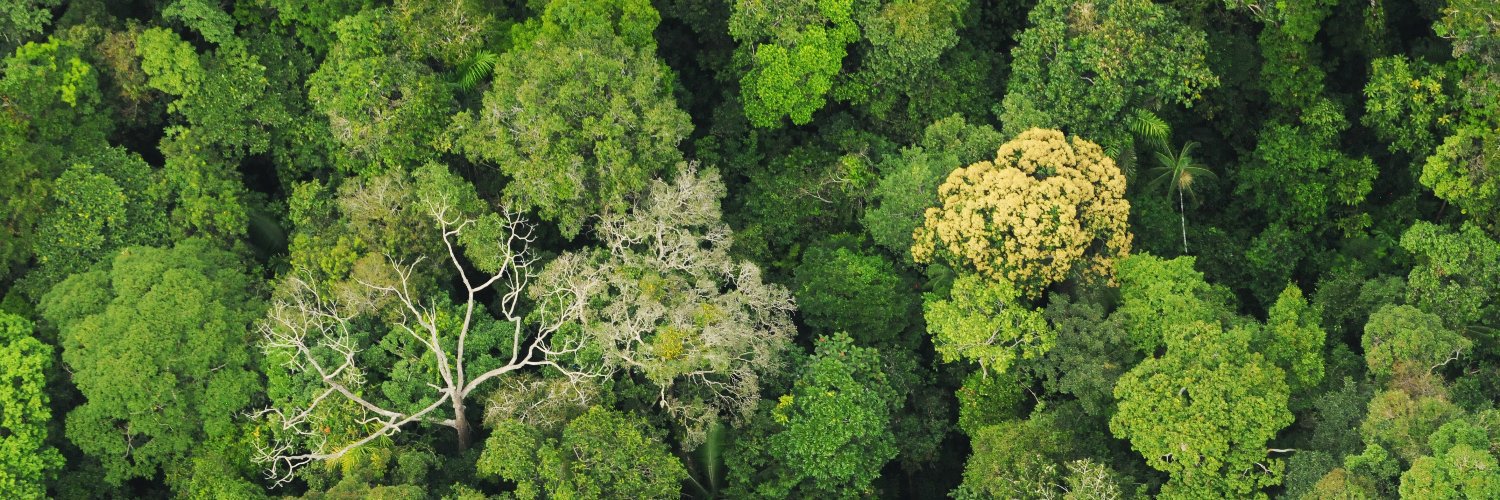Amazon Conservation Team's banner