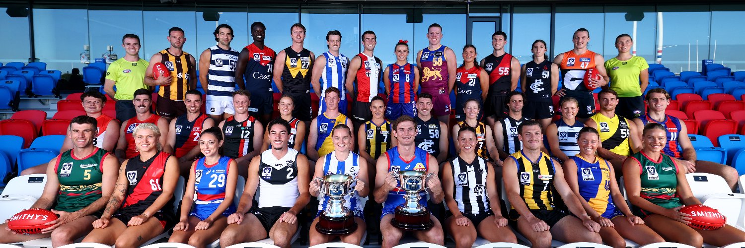 VFL / VFLW's banner