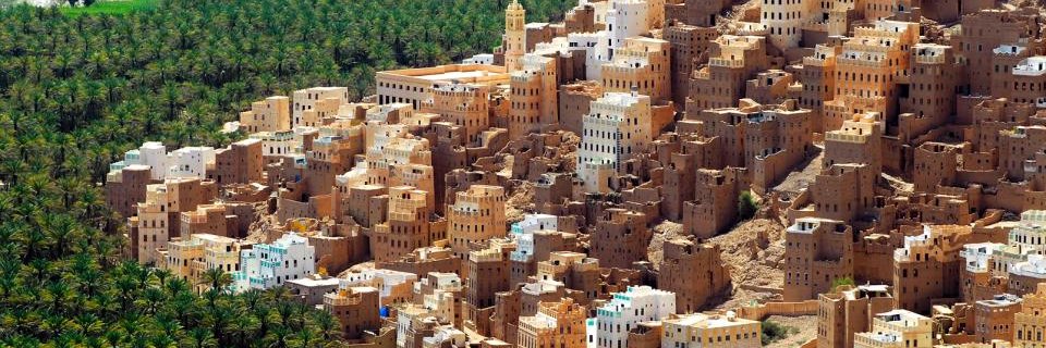 شفاء الناصر's banner