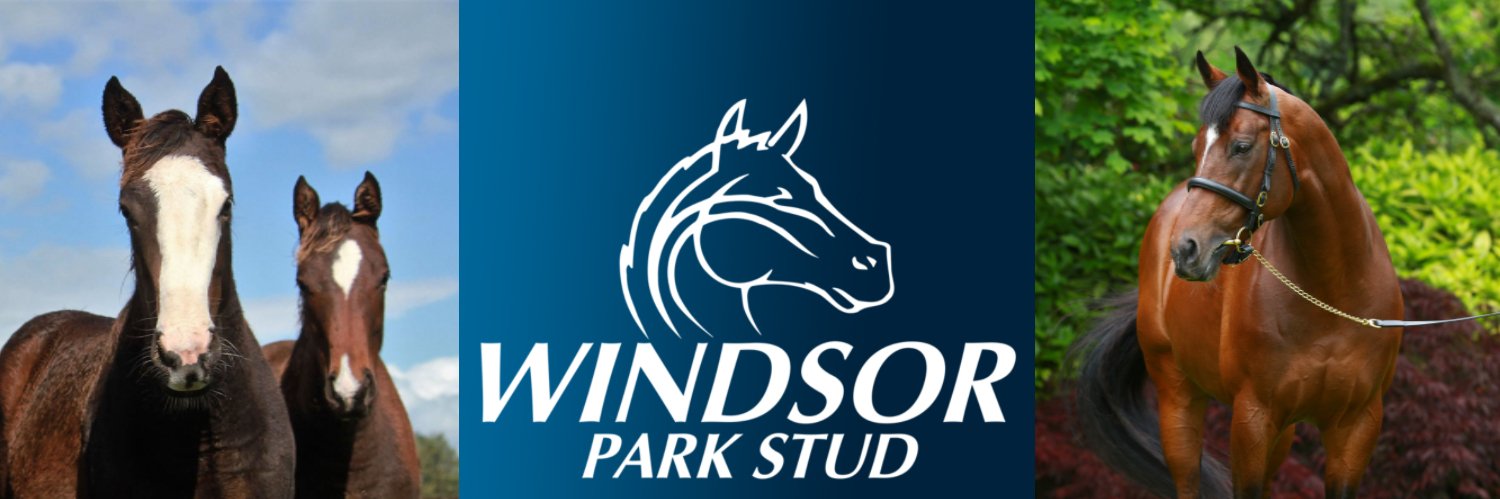 Windsor Park Stud's banner