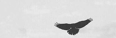 نادرنايض بن جويبر's banner
