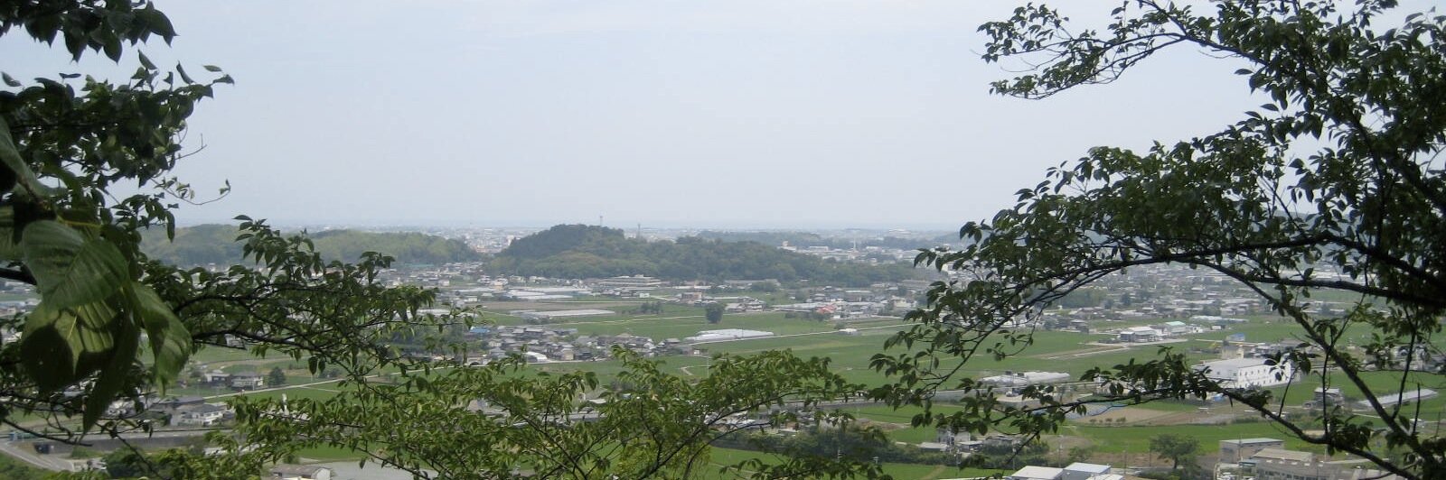 長宗我部元親_bot's banner