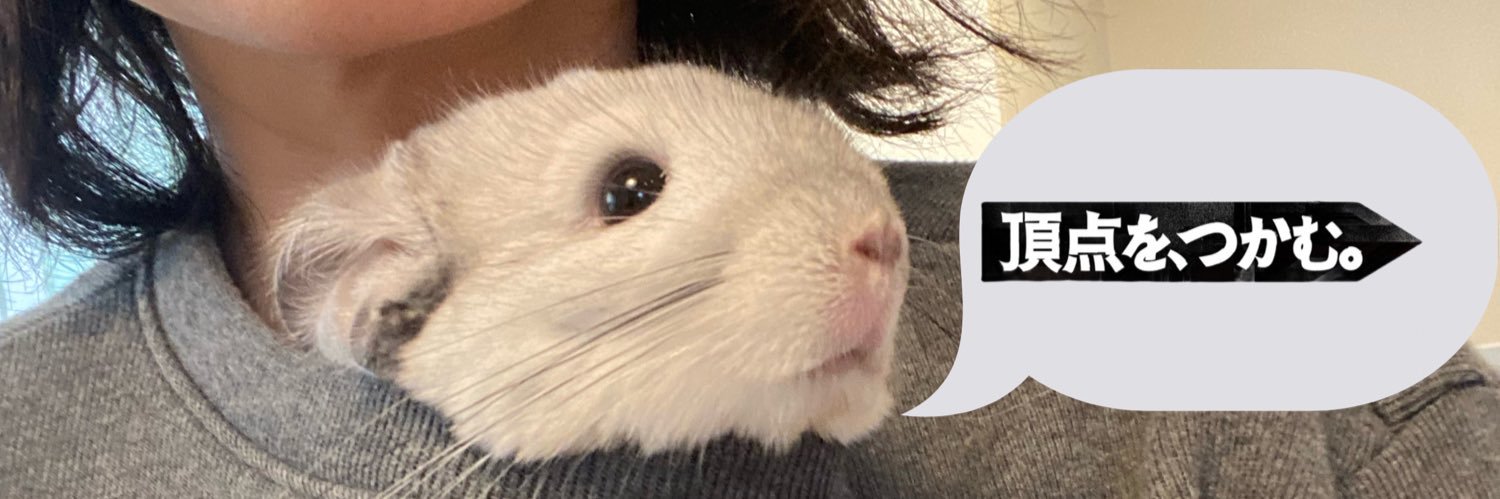 ちー we need humor ☮️💟's banner