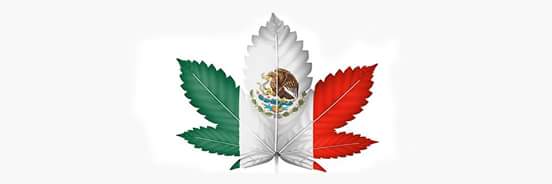 México ®'s banner
