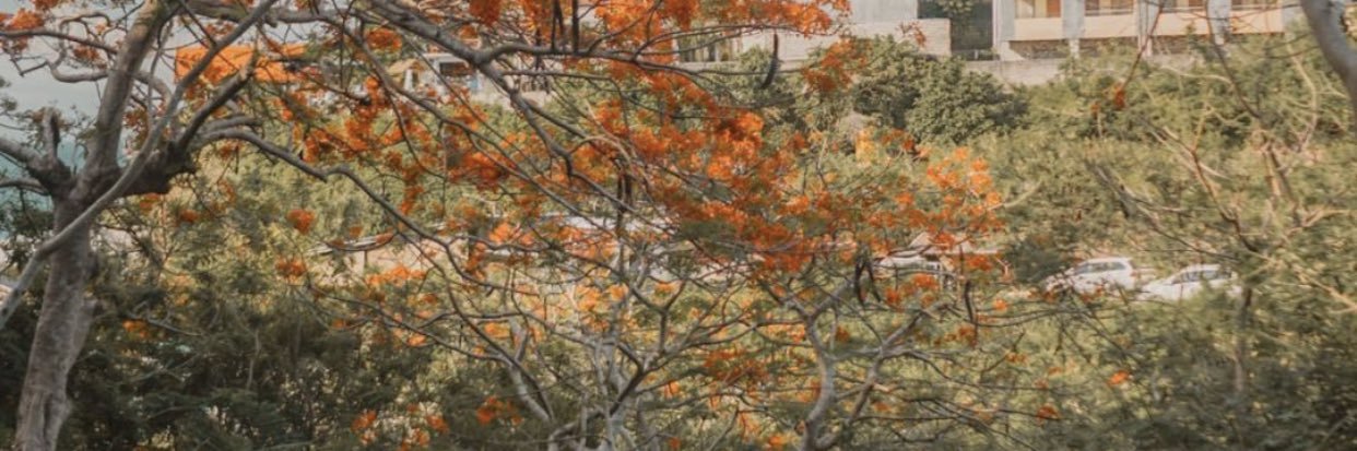 de2lv_'s banner