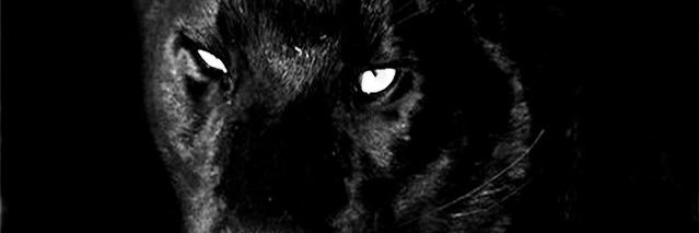 Çağrı Özer 𓆩👼🏻𓆪's banner