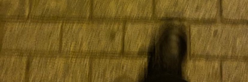 nav's banner
