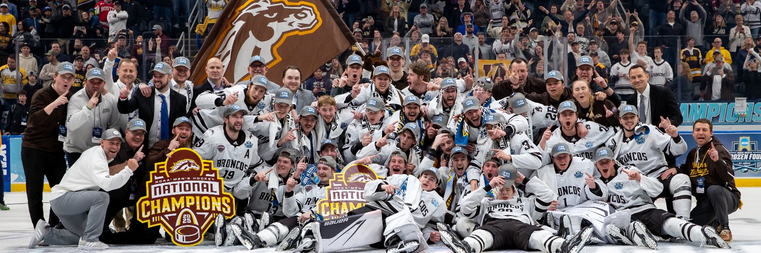 WMU Hockey's banner