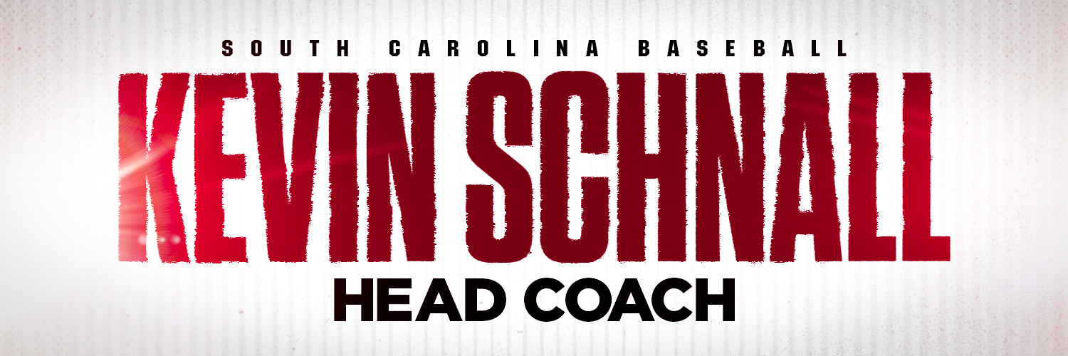 Kevin Schnall's banner