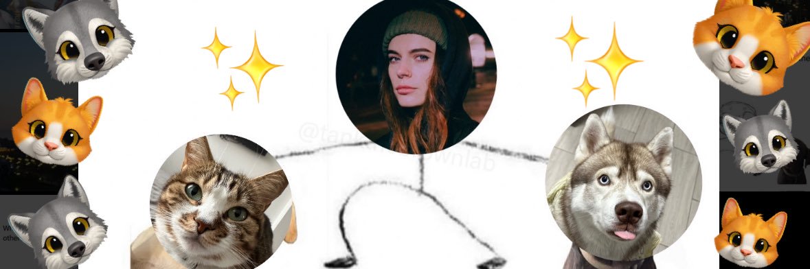 Альо Ха 🇺🇦's banner