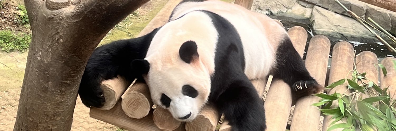 龍筋按摩師Tobe～ 愛吃的按摩師's banner