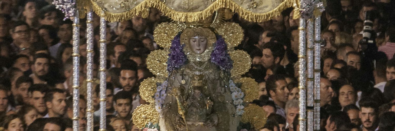 José Mª Pichardo's banner