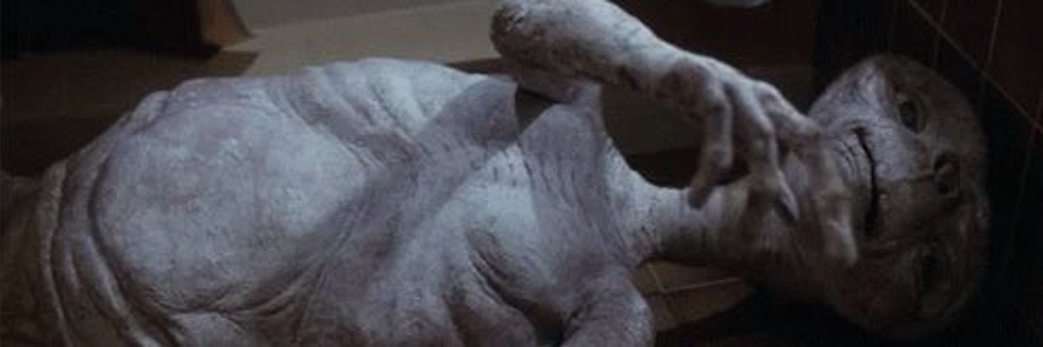 toe, lover (living)'s banner