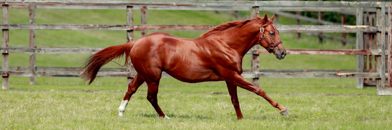 Newsells Park Stud's banner