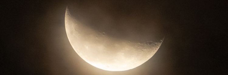 𝖑𝖎𝖙𝖔🇵🇸's banner