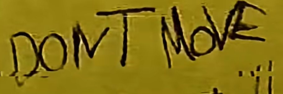 Marusha's banner