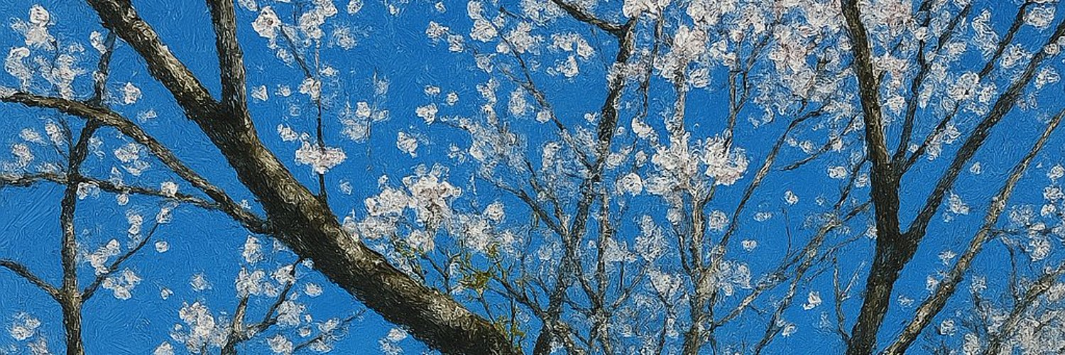 ぱむだ's banner