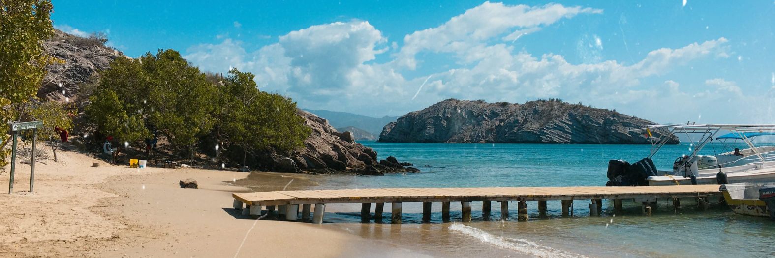 Chica Huérfana 🌴.'s banner