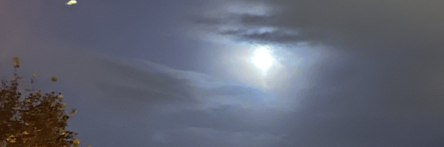Invisiblewoman's banner