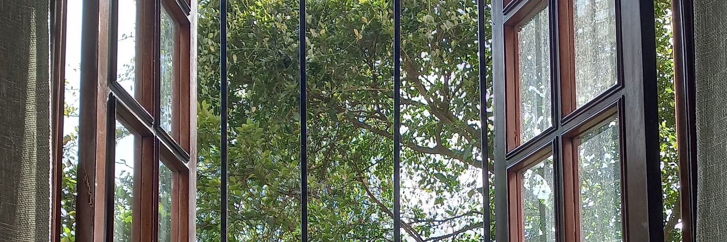ilicena malek's banner