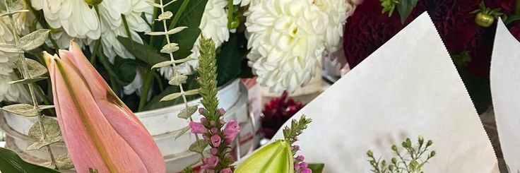 elaine 1.4's banner