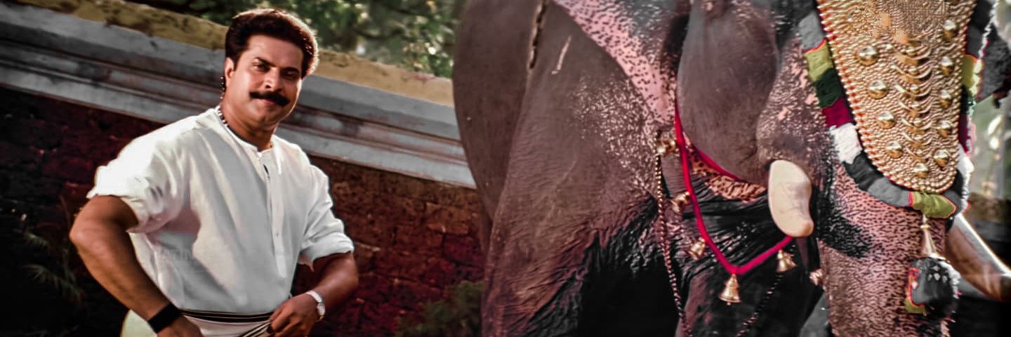 Tᴏᴍ Mᴀᴛʜᴇᴡ's banner