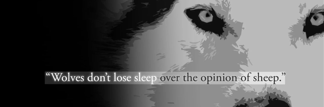 Bully Ray's banner