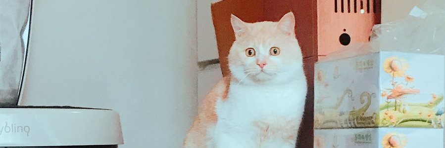 사랑해 뽀뽀또또's banner
