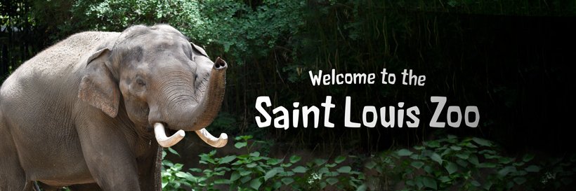 Saint Louis Zoo's banner