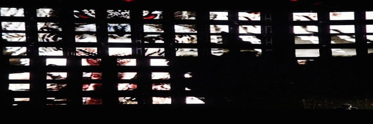 Captain Cristobal's banner