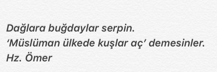 Didem's banner