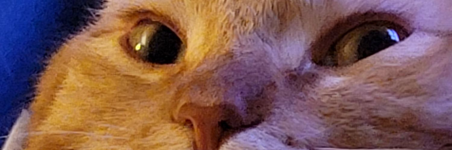 Matt J's banner