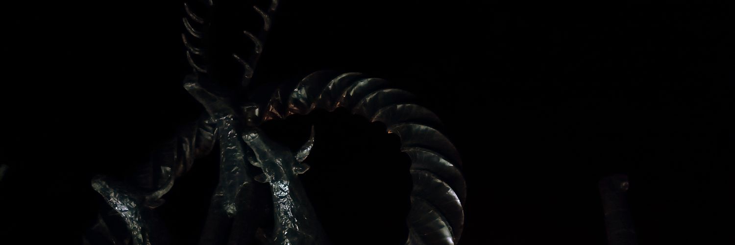 Devin Asya Açıkelli's banner