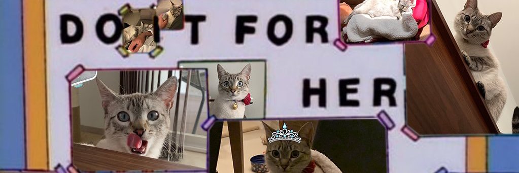Perrito Modorrito's banner