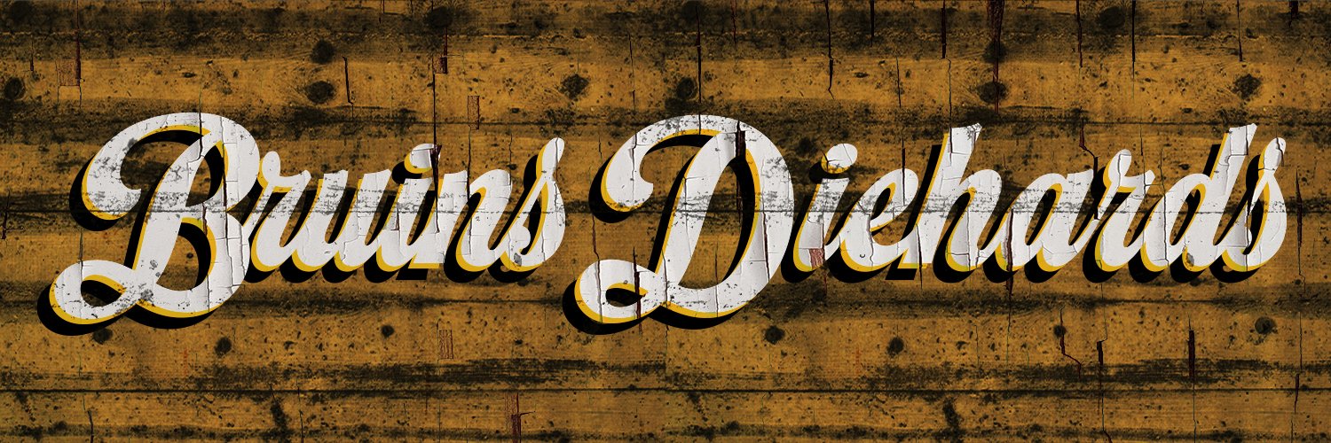 Bruins Diehards's banner