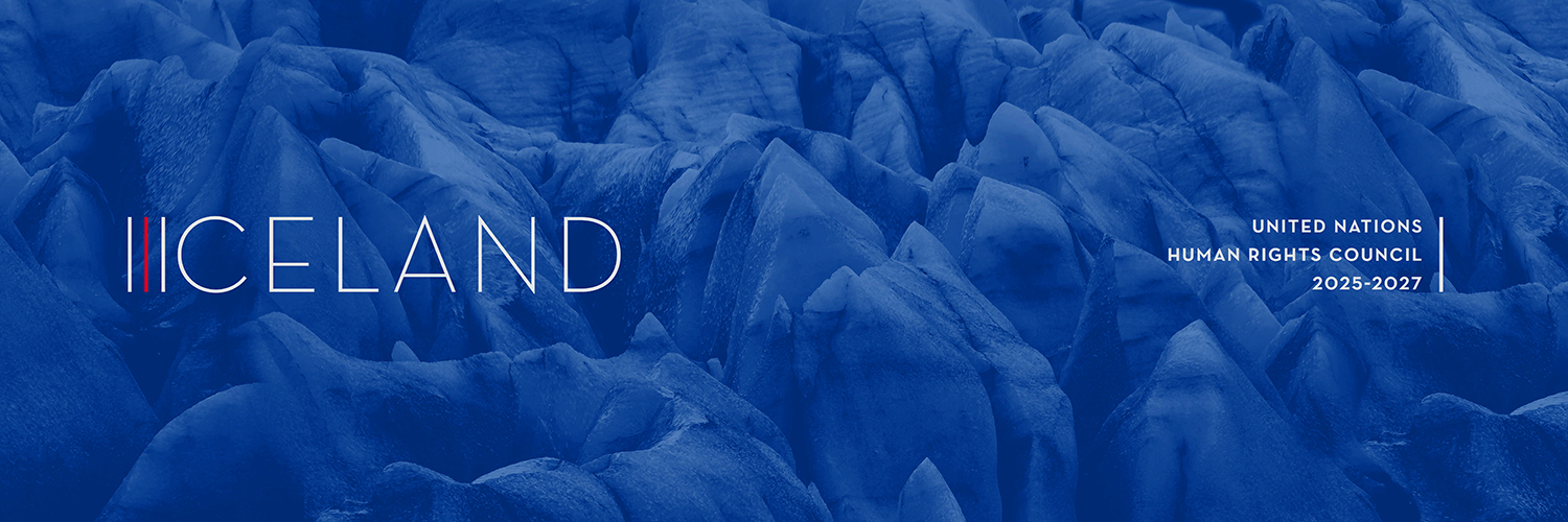 MFA Iceland 🇮🇸's banner