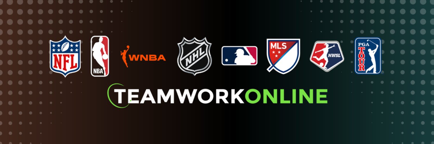 TeamWork Online's banner