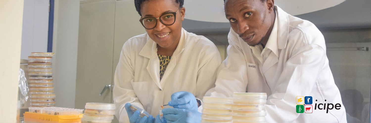 BioInnovate Africa's banner