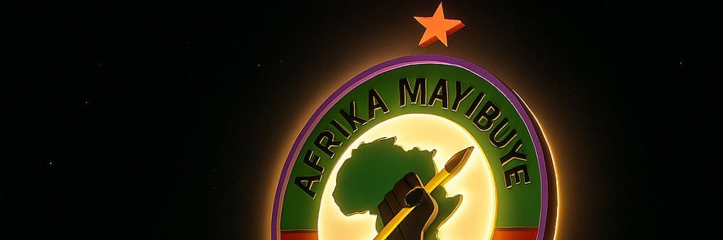 Fana Mokoena's banner