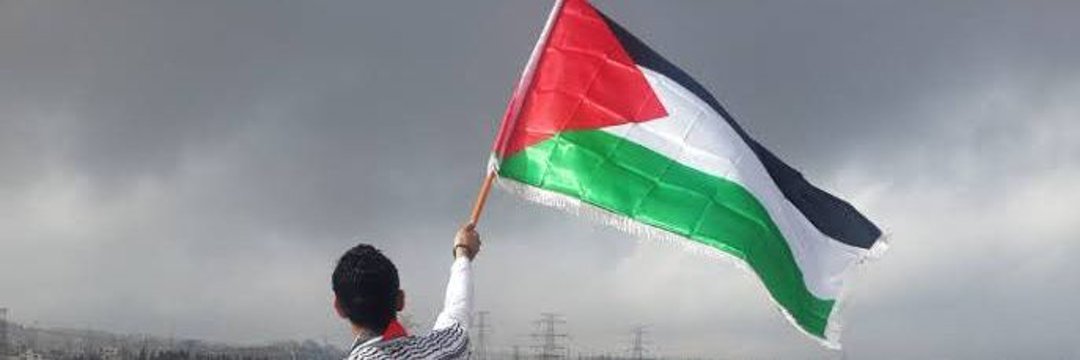 Remedios Ramos 🔻 🇵🇸's banner