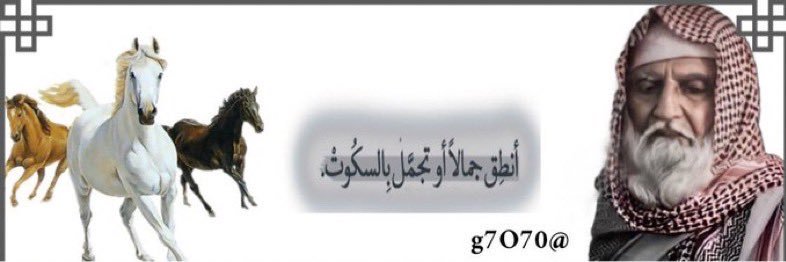 •شايبنا•'s banner