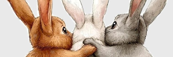 Nubia 🐇's banner