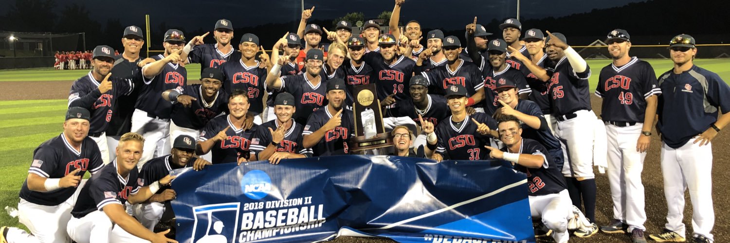 Columbus State Baseball's banner