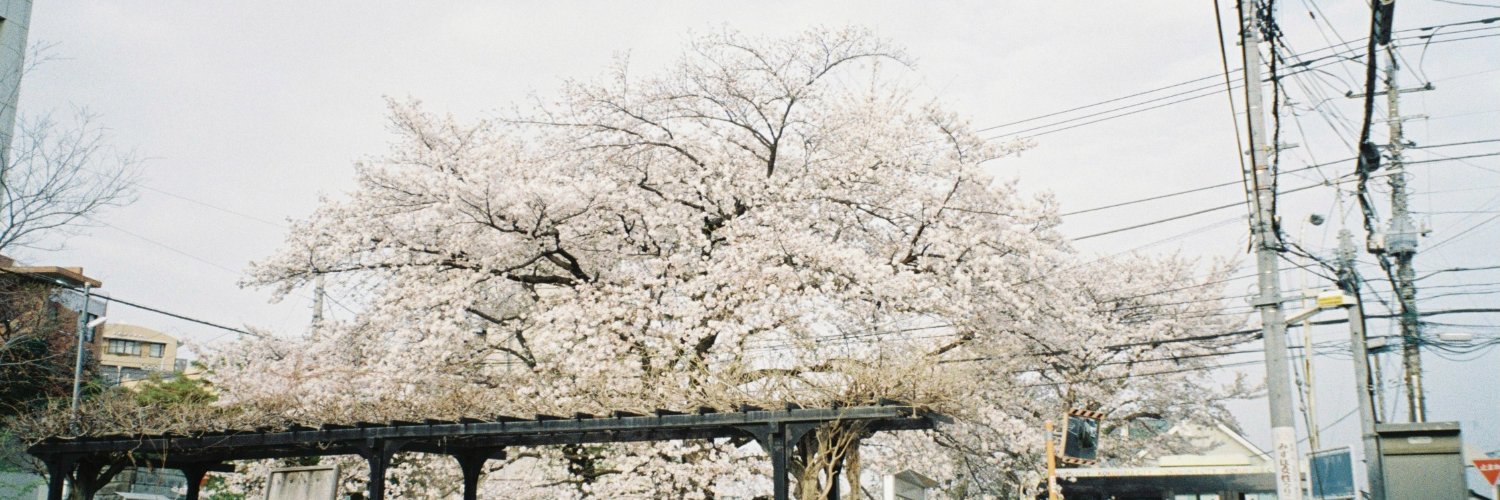 澤田 空海理's banner
