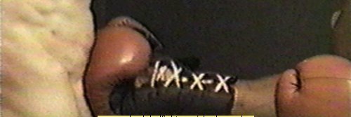 Puncher Of Abs's banner