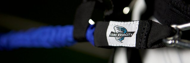 LantzWheeler's banner